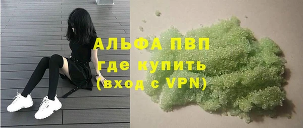 сатива Волосово