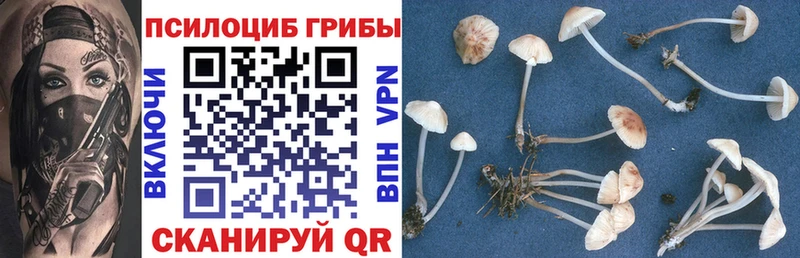 Галлюциногенные грибы Cubensis  Муром 